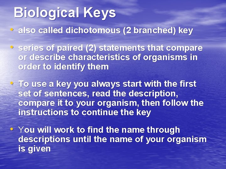 Biological Keys • also called dichotomous (2 branched) key • series of paired (2)