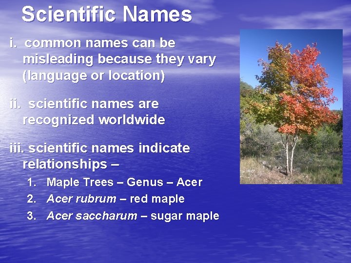 Scientific Names i. common names can be misleading because they vary (language or location)