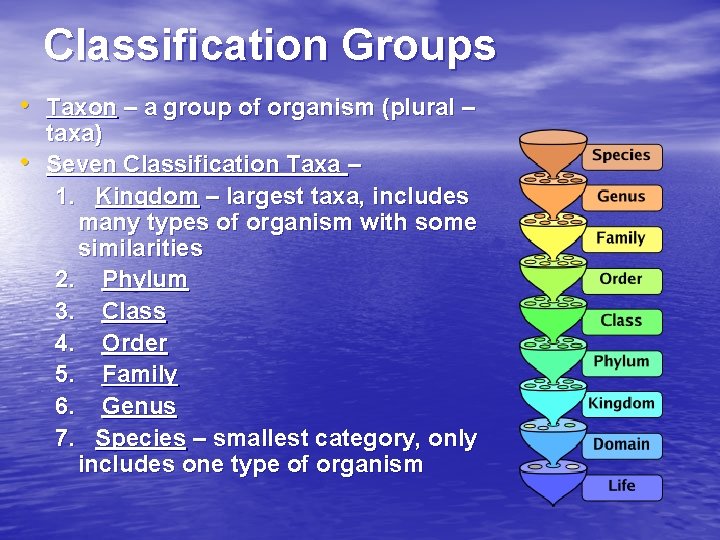 Classification Groups • Taxon – a group of organism (plural – • taxa) Seven