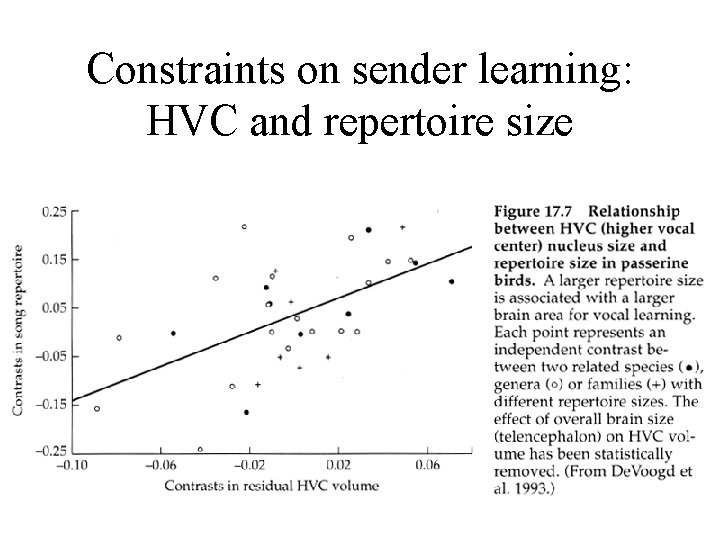 Constraints on sender learning: HVC and repertoire size 