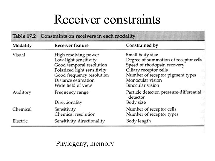 Receiver constraints Phylogeny, memory 