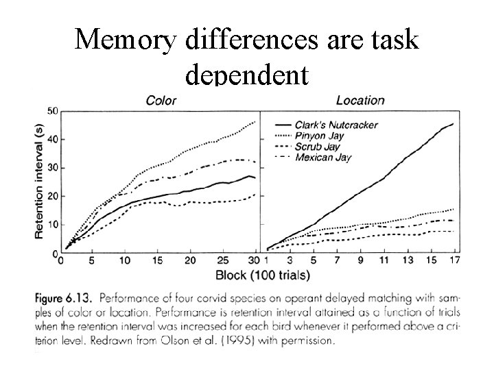 Memory differences are task dependent 