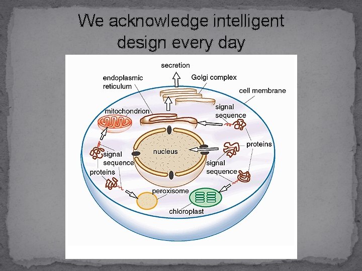 We acknowledge intelligent design every day 