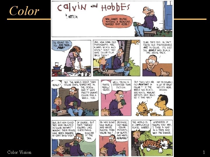 Color Vision 1 