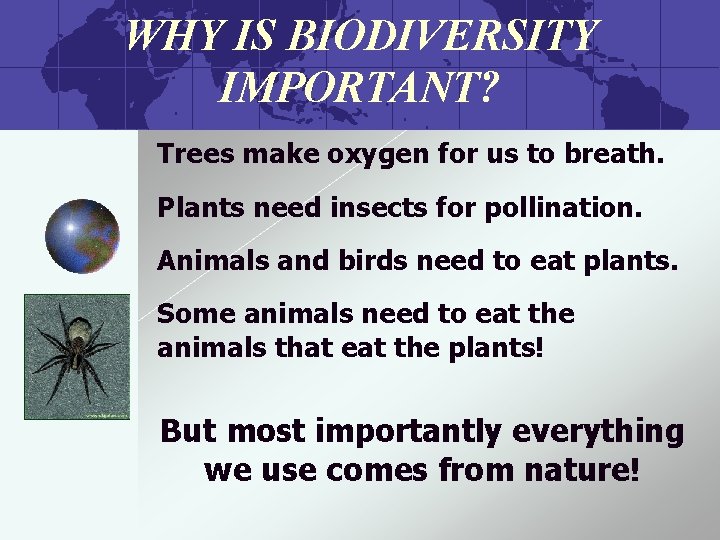 WHY IS BIODIVERSITY IMPORTANT? Trees make oxygen for us to breath. Plants need insects