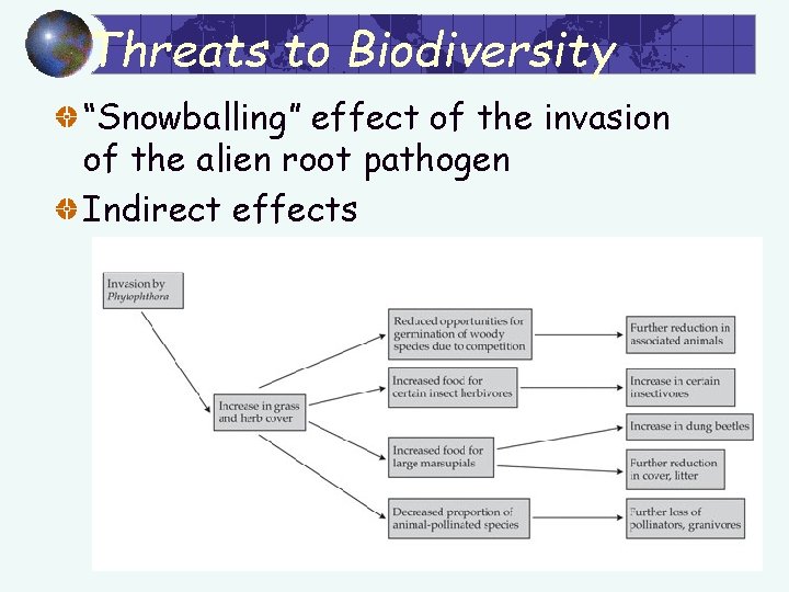 Threats to Biodiversity “Snowballing” effect of the invasion of the alien root pathogen Indirect