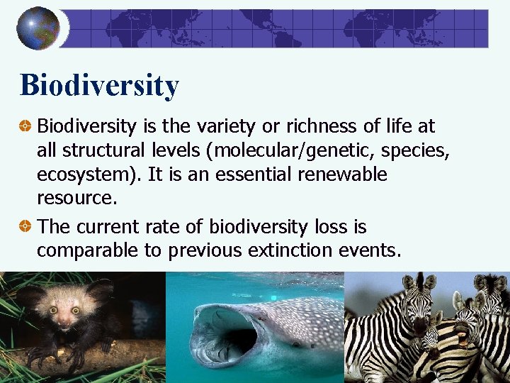 Biodiversity is the variety or richness of life at all structural levels (molecular/genetic, species,