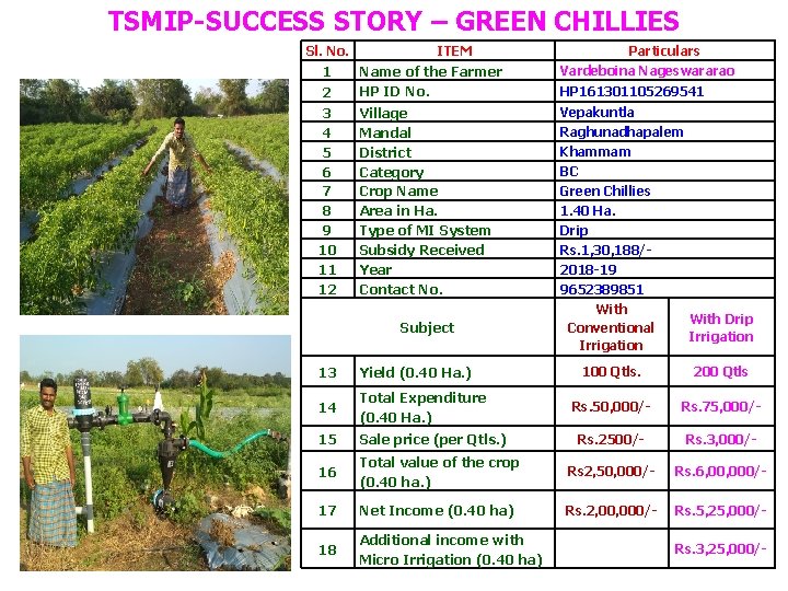 TSMIP-SUCCESS STORY – GREEN CHILLIES Sl. No. 1 2 3 4 5 6 7