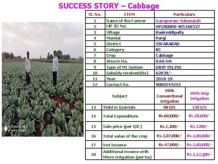 SUCCESS STORY – Cabbage Sl. No. 1 2 3 4 5 6 7 8