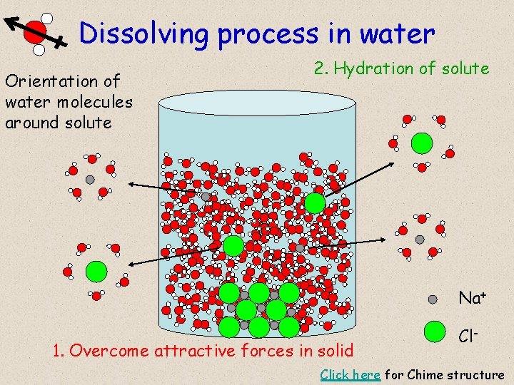 Dissolving process in water Orientation of water molecules around solute 2. Hydration of solute