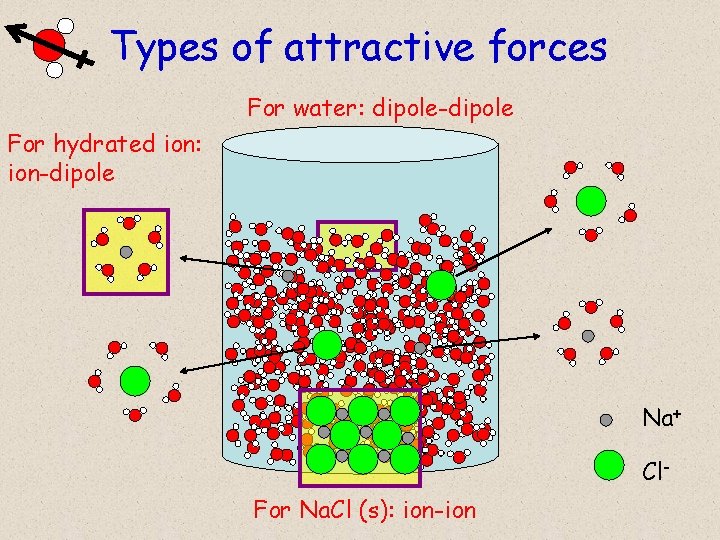 Types of attractive forces For water: dipole-dipole For hydrated ion: ion-dipole Na+ Cl. For