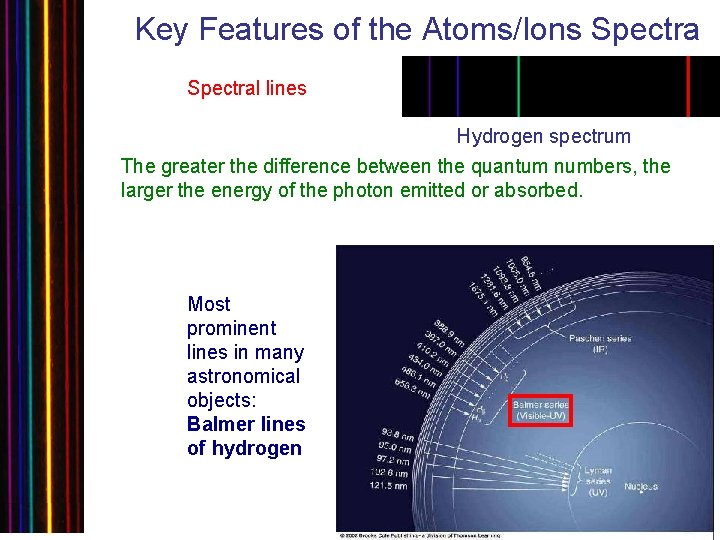 Key Features of the Atoms/Ions Spectral lines Hydrogen spectrum The greater the difference between
