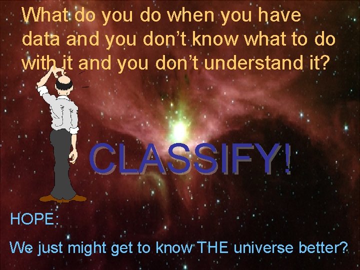 What do you do when you have data and you don’t know what to