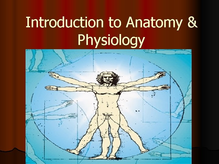Introduction to Anatomy & Physiology 