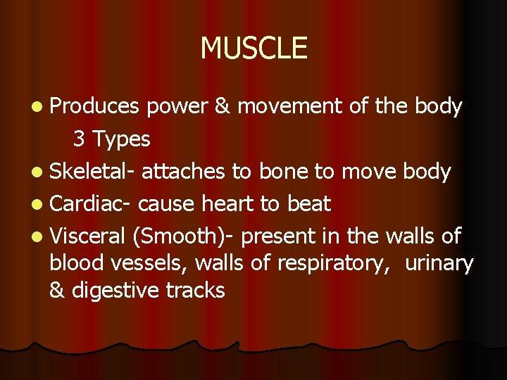 MUSCLE l Produces power & movement of the body 3 Types l Skeletal- attaches