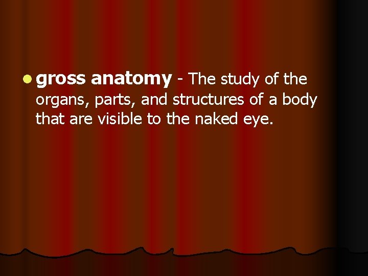 l gross anatomy - The study of the organs, parts, and structures of a