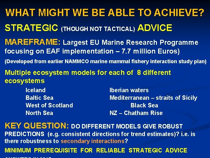 WHAT MIGHT WE BE ABLE TO ACHIEVE? STRATEGIC (THOUGH NOT TACTICAL) ADVICE MAREFRAME: Largest