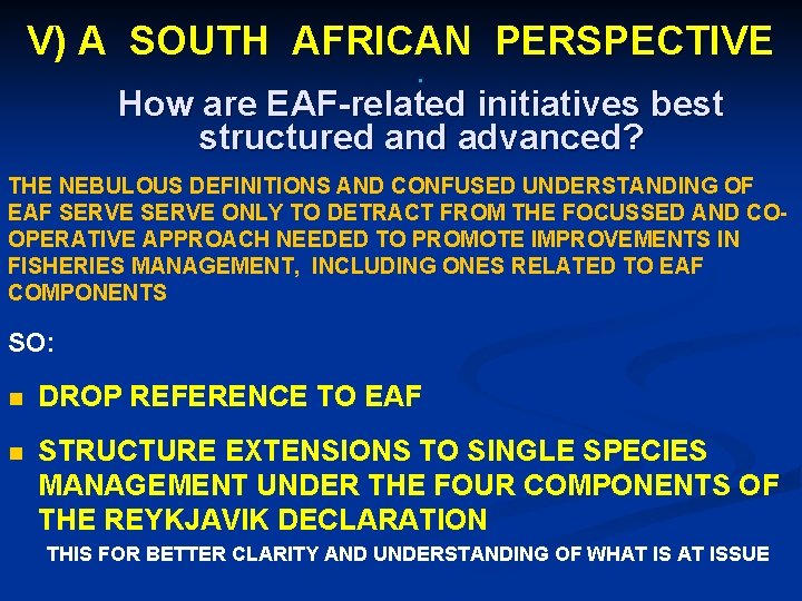 V) A SOUTH AFRICAN PERSPECTIVE. How are EAF-related initiatives best structured and advanced? THE