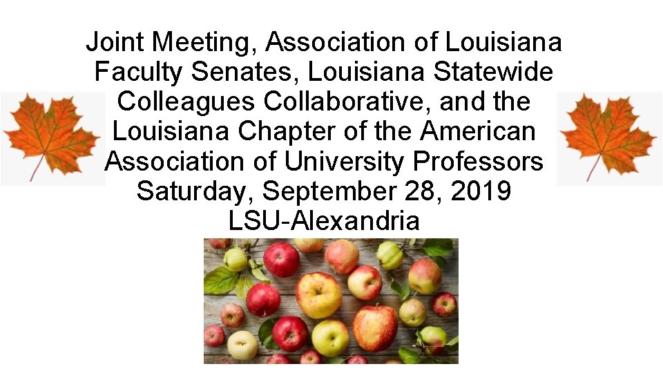 Joint Meeting, Association of Louisiana Faculty Senates, Louisiana Statewide Colleagues Collaborative, and the Louisiana