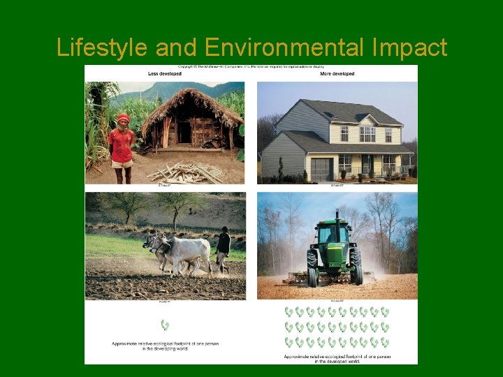 Lifestyle and Environmental Impact 