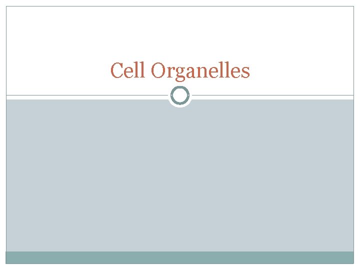 Cell Organelles 