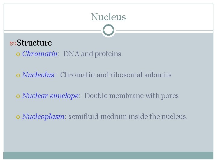 Nucleus Structure Chromatin: DNA and proteins Nucleolus: Chromatin and ribosomal subunits Nuclear envelope: Double