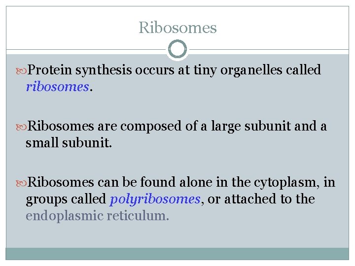 Ribosomes Protein synthesis occurs at tiny organelles called ribosomes. Ribosomes are composed of a