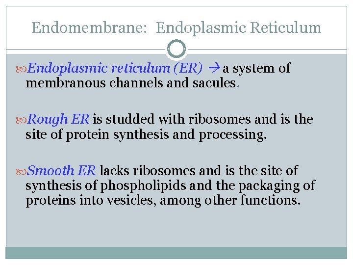 Endomembrane: Endoplasmic Reticulum Endoplasmic reticulum (ER) a system of membranous channels and sacules. Rough