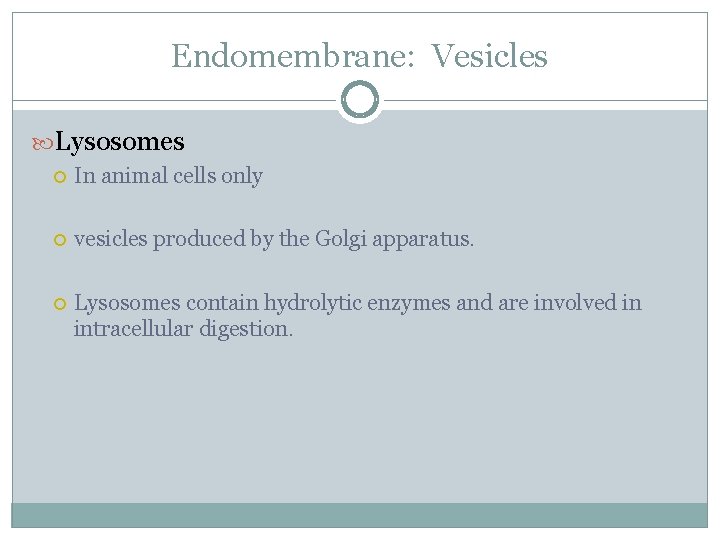 Endomembrane: Vesicles Lysosomes In animal cells only vesicles produced by the Golgi apparatus. Lysosomes
