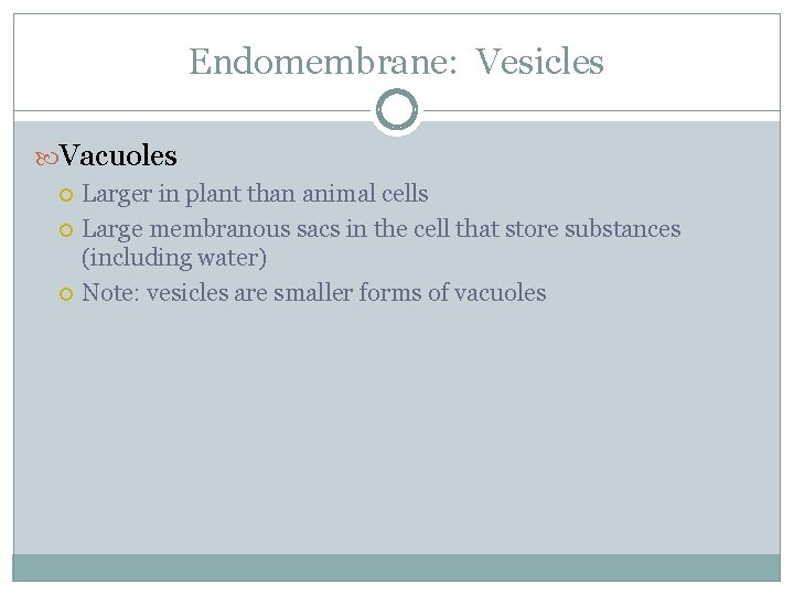 Endomembrane: Vesicles Vacuoles Larger in plant than animal cells Large membranous sacs in the