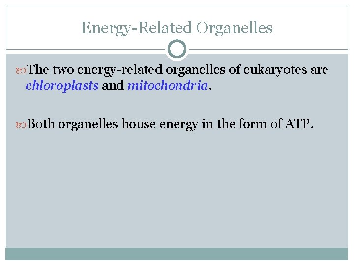 Energy-Related Organelles The two energy-related organelles of eukaryotes are chloroplasts and mitochondria. Both organelles