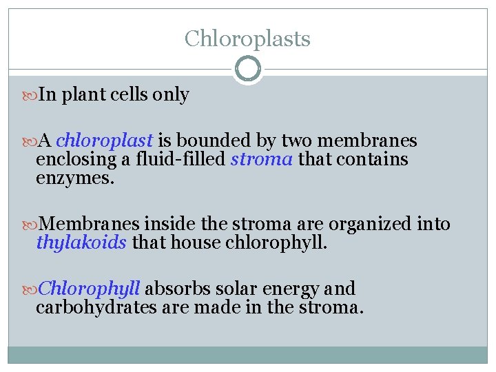 Chloroplasts In plant cells only A chloroplast is bounded by two membranes enclosing a