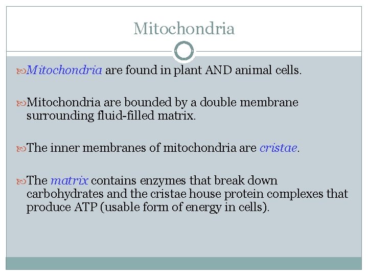 Mitochondria are found in plant AND animal cells. Mitochondria are bounded by a double