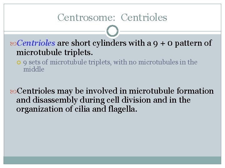 Centrosome: Centrioles are short cylinders with a 9 + 0 pattern of microtubule triplets.