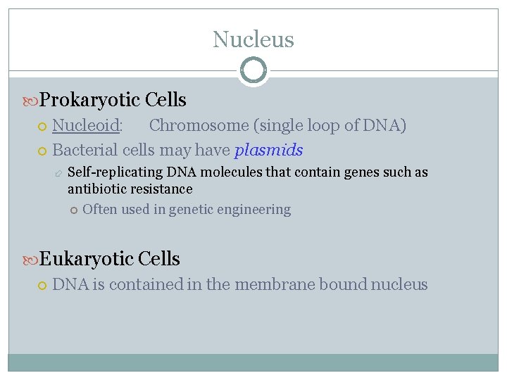 Nucleus Prokaryotic Cells Nucleoid: Chromosome (single loop of DNA) Bacterial cells may have plasmids
