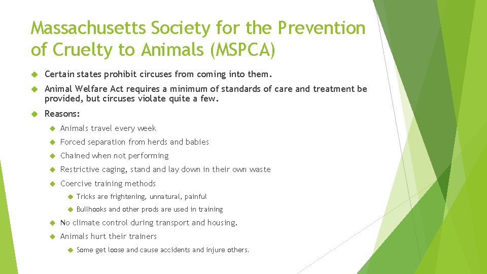 Massachusetts Society for the Prevention of Cruelty to Animals (MSPCA) Certain states prohibit circuses Massachusetts Society for the Prevention of Cruelty to Animals (MSPCA) Certain states prohibit circuses