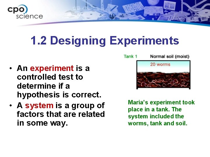 1. 2 Designing Experiments • An experiment is a controlled test to determine if