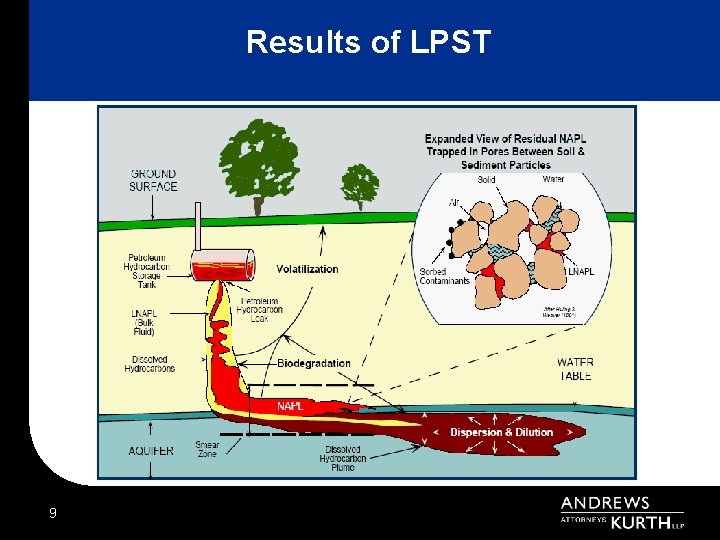 Results of LPST 9 