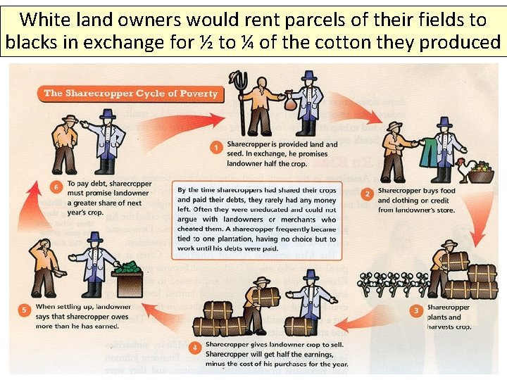 White land owners would rent parcels of their fields to blacks in exchange for
