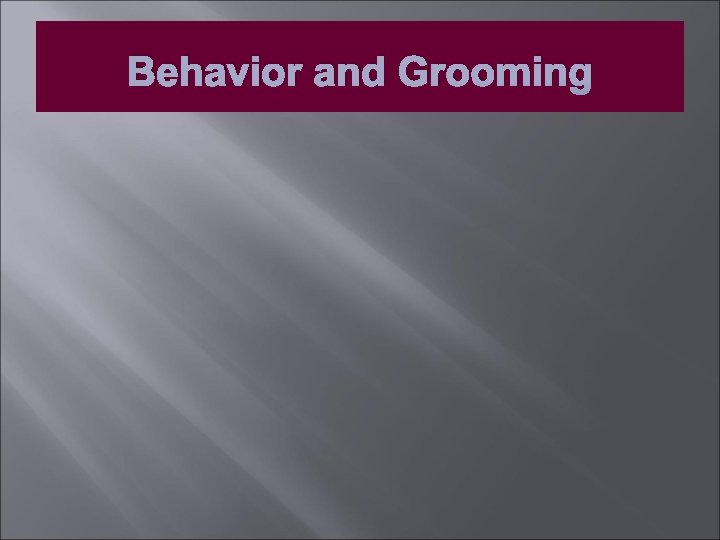 Behavior and Grooming 