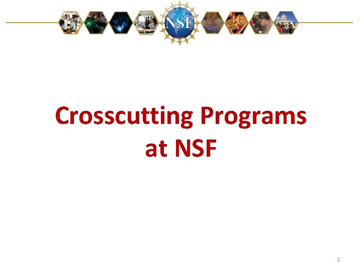 Crosscutting Programs at NSF 1 