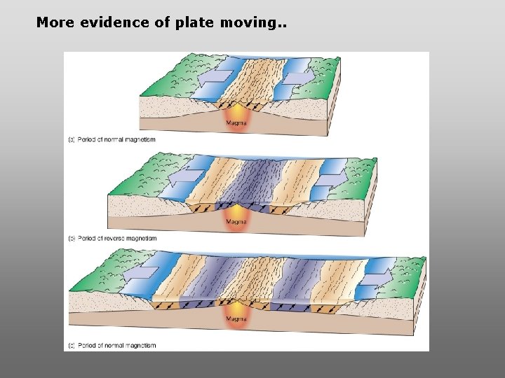 More evidence of plate moving. . More evidence of plate moving. .