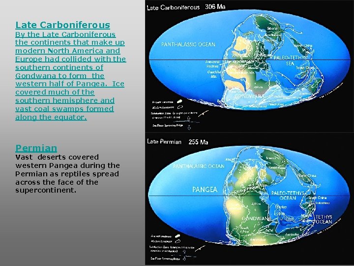 Late Carboniferous By the Late Carboniferous the continents that make up modern North America Late Carboniferous By the Late Carboniferous the continents that make up modern North America