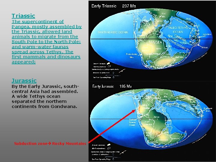 Triassic The supercontinent of Pangea, mostly assembled by the Triassic, allowed land animals to Triassic The supercontinent of Pangea, mostly assembled by the Triassic, allowed land animals to