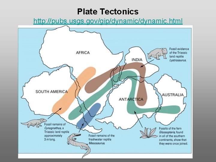 Plate Tectonics http: //pubs. usgs. gov/gip/dynamic. html Plate Tectonics http: //pubs. usgs. gov/gip/dynamic. html