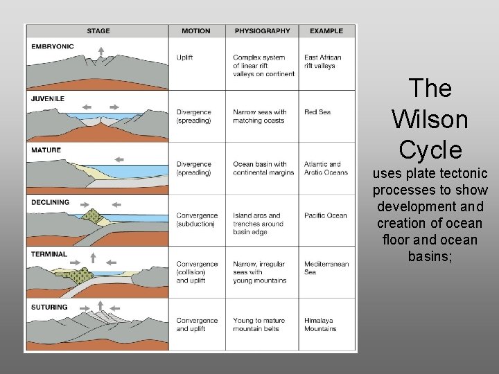 The Wilson Cycle uses plate tectonic processes to show development and creation of ocean The Wilson Cycle uses plate tectonic processes to show development and creation of ocean