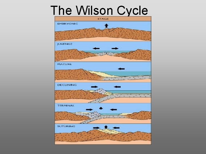 The Wilson Cycle The Wilson Cycle
