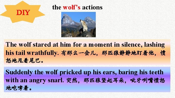 Di. Y the wolf’s actions The wolf stared at him for a moment in