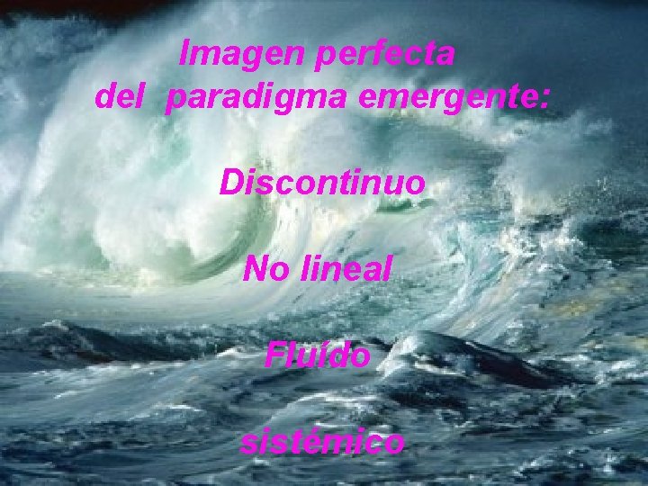 Imagen perfecta del paradigma emergente: Discontinuo No lineal Fluído sistémico 