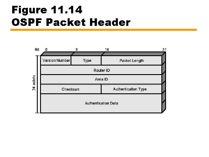 Figure 11. 14 OSPF Packet Header 